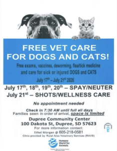 Free Vet Care For Dogs and Cats – RAVS