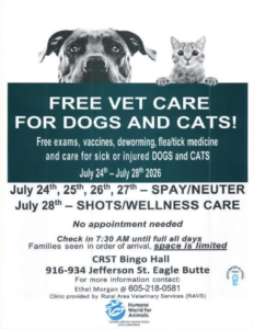 Free Vet Care For Dogs and Cats – RAVS