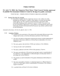 CRST Amended Children’s Code